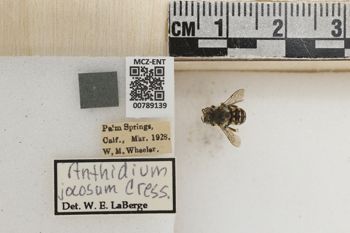 Media type: image;   Entomology 789139 Aspect: Labels